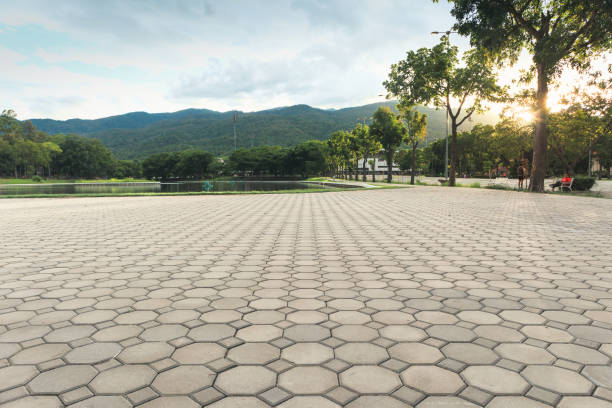 Professional Driveway Pavers in Cascade Valley, WA